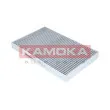 Filtre, air de l'habitacle KAMOKA F500801 - Visuel 2