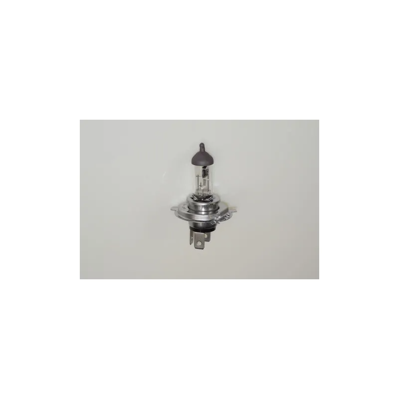 Ampoule, projecteur longue portée RAP LIGHTING RAP-H4