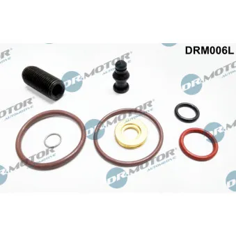 Kit de réparation, unité pompe-injecteur Dr.Motor DRM006L