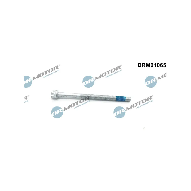 Vis, support pour controleur d'injecteurs Dr.Motor DRM01065