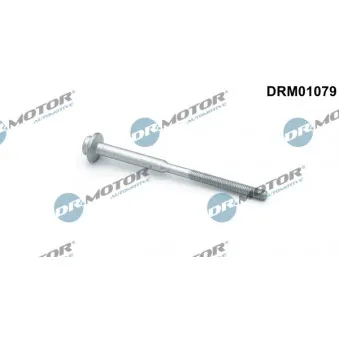 Vis, support pour controleur d'injecteurs Dr.Motor DRM01079