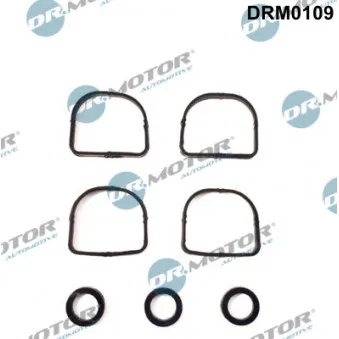 Jeu de joints d'étanchéité, collecteur d'admission Dr.Motor DRM0109