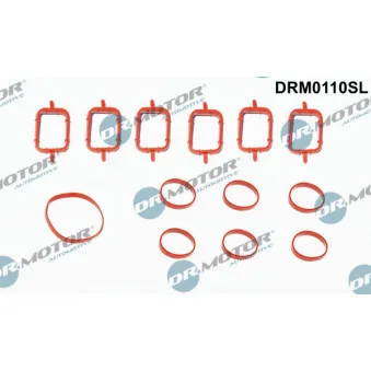 Joint d'étanchéité, collecteur d'admission Dr.Motor DRM0110SL