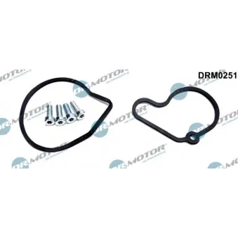 Kit de réparation, pompe à vide (freinage) Dr.Motor DRM0251