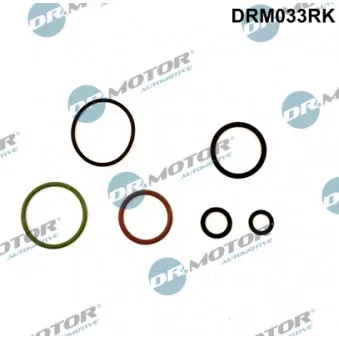 Kit de réparation, unité pompe-injecteur Dr.Motor DRM033RK