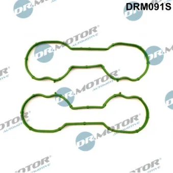 Jeu de joints d'étanchéité, collecteur d'admission Dr.Motor DRM091S