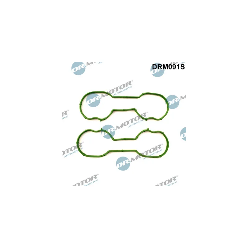 Jeu de joints d'étanchéité, collecteur d'admission Dr.Motor DRM091S