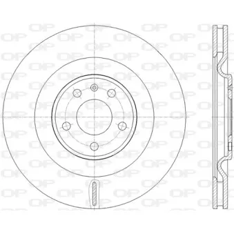 Jeu de 2 disques de frein arrière OPEN PARTS BDR2822.20