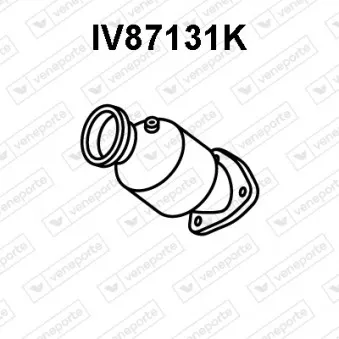 Catalyseur VENEPORTE IV87131K