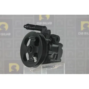 Pompe hydraulique, direction DA SILVA DP3446