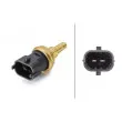 Sonde de température, liquide de refroidissement HELLA 6PT 009 107-811 - Visuel 2