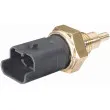 Sonde de température, liquide de refroidissement HELLA 6PT 009 309-581 - Visuel 1