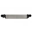 Intercooler, échangeur THERMOTEC DAM026TT - Visuel 1