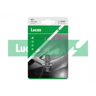 Ampoule, projecteur longue portée LUCAS LLB448P