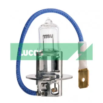 Ampoule, projecteur antibrouillard LUCAS LLB453