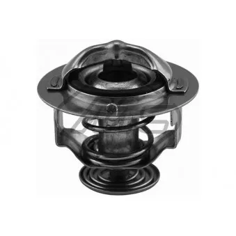 Thermostat d'eau Metalcaucho 30268