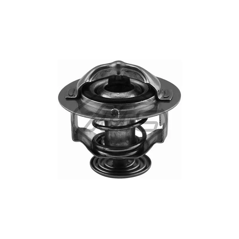 Thermostat d'eau Metalcaucho 30268