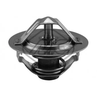 Thermostat d'eau Metalcaucho 30271