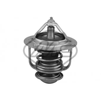 Thermostat d'eau Metalcaucho 30291