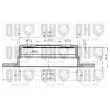 Jeu de 2 disques de frein arrière QUINTON HAZELL BDC3479 - Visuel 1