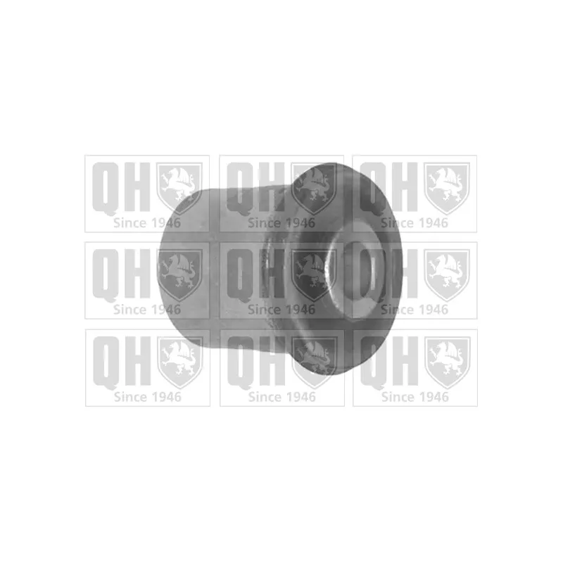 Silent bloc de suspension (train avant) QUINTON HAZELL EMS8411
