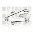 Jeu de courroies trapézoïdales à nervures QUINTON HAZELL QDK15 - Visuel 2