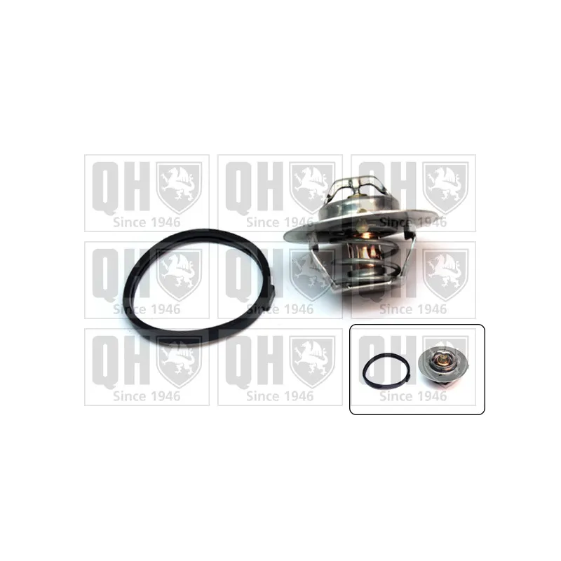 Thermostat d'eau QUINTON HAZELL QTH222K