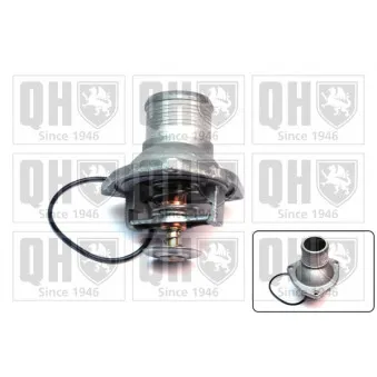 Thermostat d'eau QUINTON HAZELL QTH334K