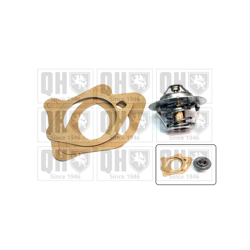 Thermostat d'eau QUINTON HAZELL QTH349K