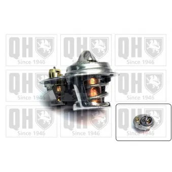 Thermostat d'eau QUINTON HAZELL QTH461