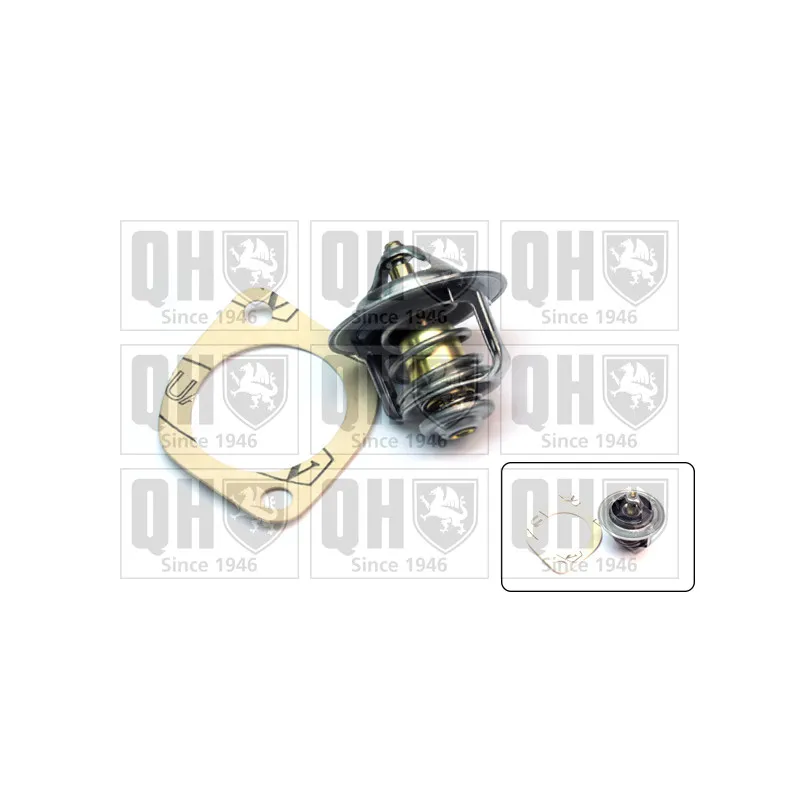 Thermostat d'eau QUINTON HAZELL QTH581K