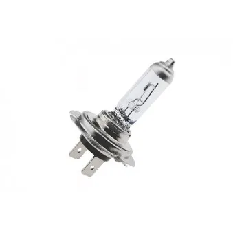 Ampoule, projecteur longue portée SAMAXX EZ-H7ZSW