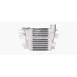 Intercooler, échangeur AVA QUALITY COOLING DN4457 - Visuel 2