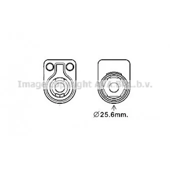 Radiateur d'huile AVA QUALITY COOLING FD3624