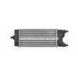 Intercooler, échangeur AVA QUALITY COOLING FD4688 - Visuel 2