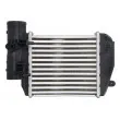 Intercooler, échangeur THERMOTEC DAA026TT - Visuel 2