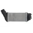 Intercooler, échangeur THERMOTEC DAC019TT - Visuel 1