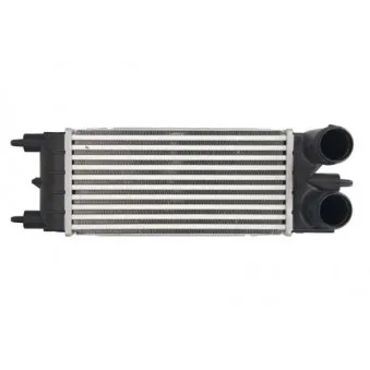 Intercooler, échangeur THERMOTEC DAC020TT