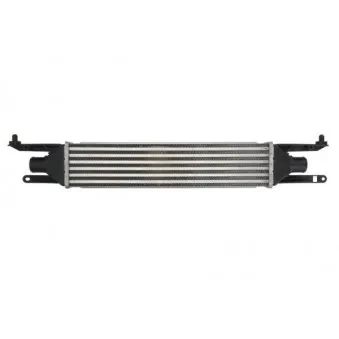 Intercooler, échangeur THERMOTEC DAF008TT