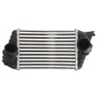 Intercooler, échangeur THERMOTEC DAF009TT - Visuel 1