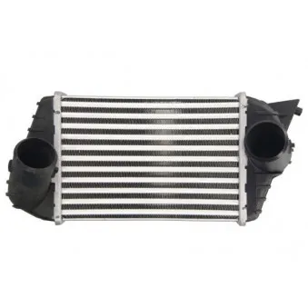 Intercooler, échangeur THERMOTEC DAF009TT