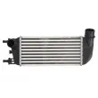 Intercooler, échangeur THERMOTEC DAF010TT - Visuel 1