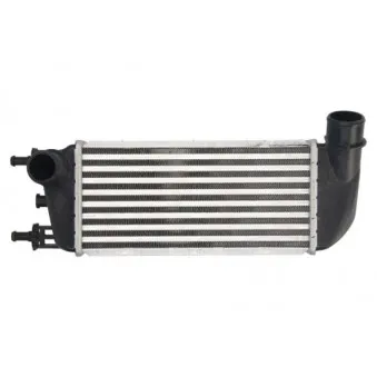 Intercooler, échangeur THERMOTEC DAF010TT