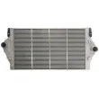 Intercooler, échangeur THERMOTEC DAR025TT - Visuel 1