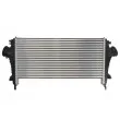 Intercooler, échangeur THERMOTEC DAX024TT - Visuel 2