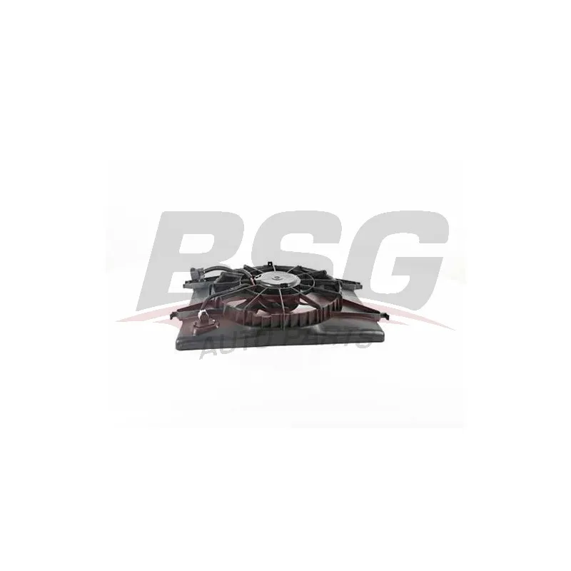 Ventilateur, refroidissement du moteur BSG BSG 40-510-021