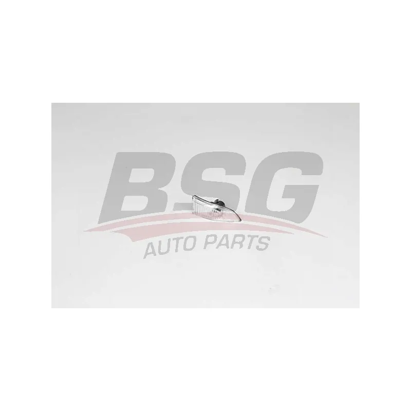 Feu clignotant BSG BSG 75-916-002