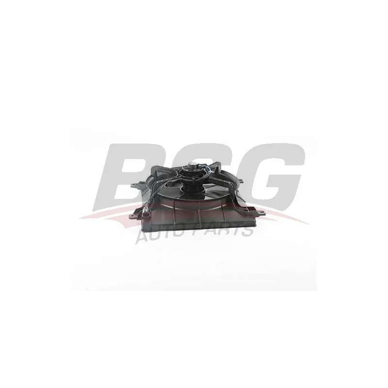 Ventilateur, refroidissement du moteur BSG BSG 16-510-002