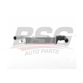 Intercooler, échangeur BSG BSG 60-535-016