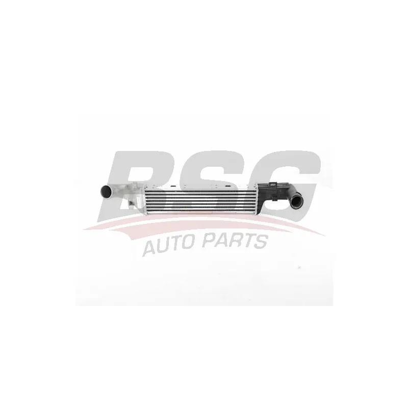 Intercooler, échangeur BSG BSG 60-535-016